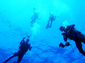 diving la parguera